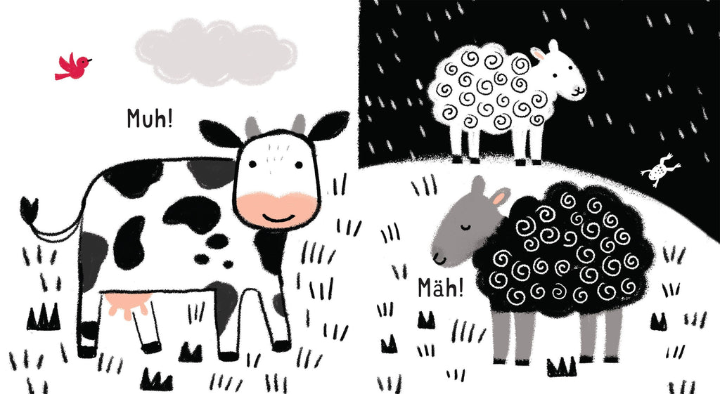 Kontraste - Babys entdecken die Welt: Tiere